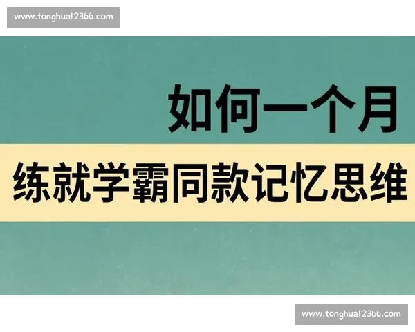 全面提升个人潜能与效率的实用方法与策略解析 全面提升个人潜能与效率的实用方法与策略解析